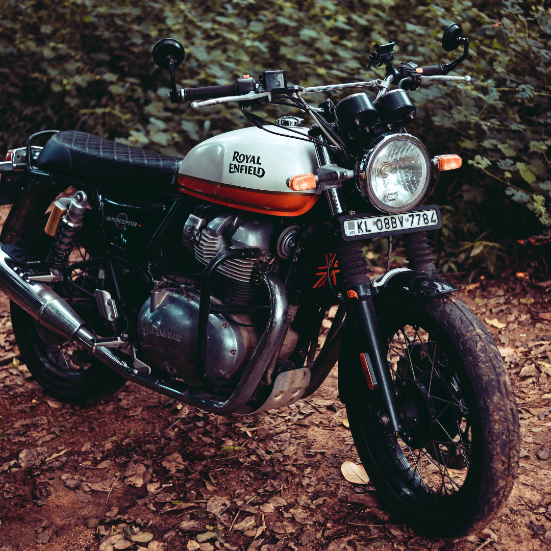 INTERCEPTOR 650 RADIATOR GUARD