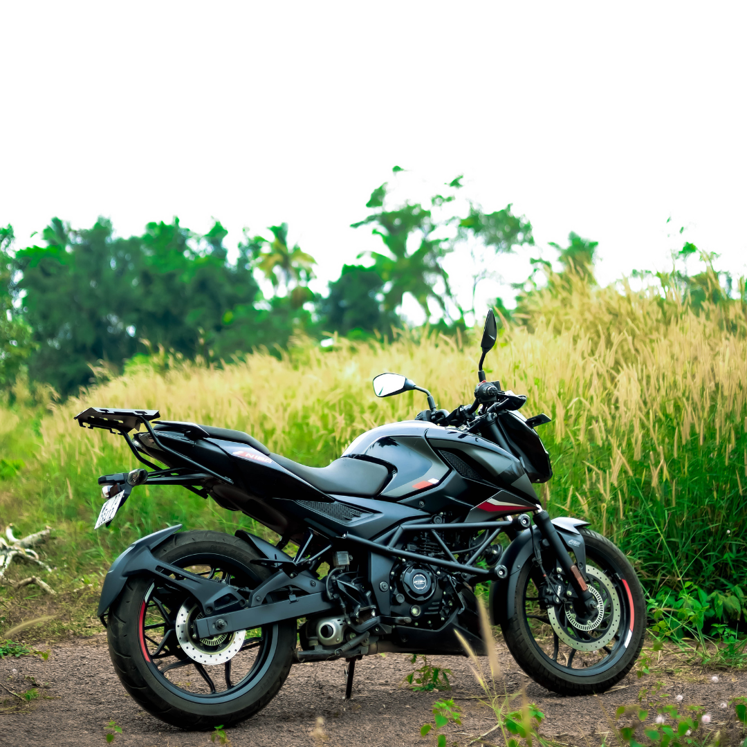 PULSAR N160 CRASH GUARD