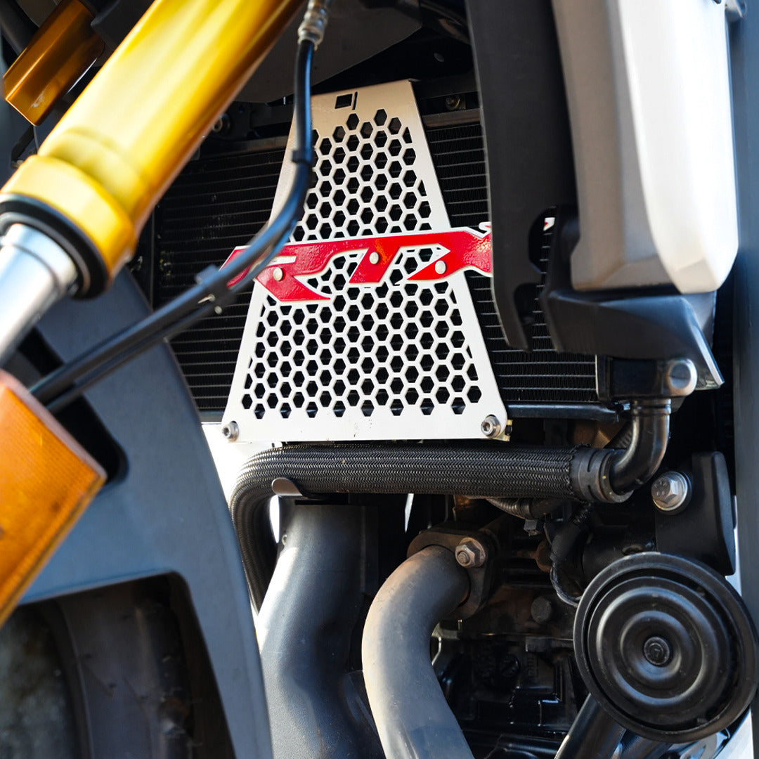 TVS RTX 300 RADIATOR GUARD