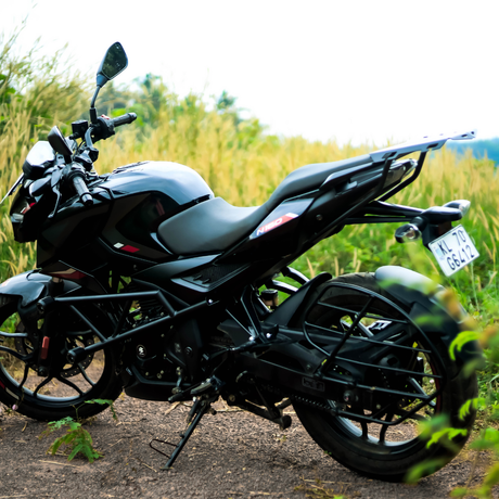 PULSAR N160 CRASH GUARD